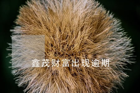 鑫茂财富出现逾期 鑫茂财富出现逾期