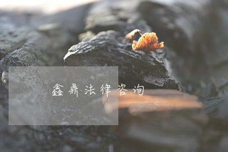 鑫鼎法律咨询