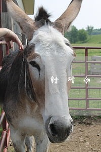 针对今年疫情逾期征信 针对今年疫情逾期征信