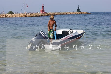 针对刘凤科的刑法笔记 针对刘凤科的刑法笔记
