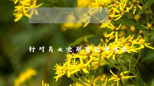 针对商业逾期贷款增值税 针对商业逾期贷款增值税