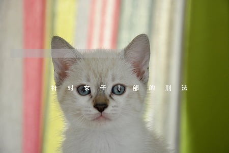 针对女子上部的刑法