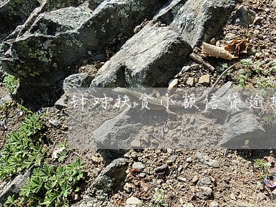 针对扶贫小额信贷逾期的建议 针对扶贫小额信贷逾期的建议