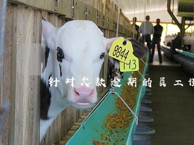 针对欠款逾期的员工谈话提纲 针对欠款逾期的员工谈话提纲