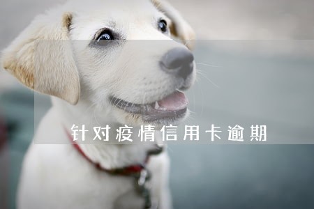 针对疫情信用卡逾期 针对疫情信用卡逾期