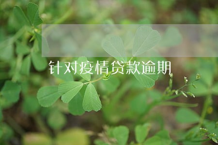 针对疫情贷款逾期 针对疫情贷款逾期