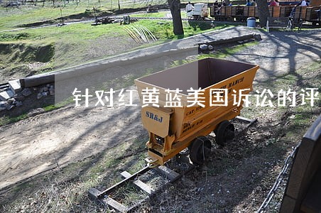 针对红黄蓝美国诉讼的评论 针对红黄蓝美国诉讼的评论