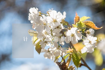 针对网贷逾期用户施压话术 针对网贷逾期用户施压话术