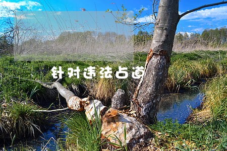 针对违法占道 针对违法占道