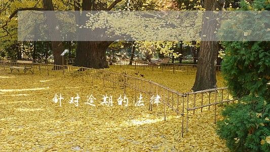 针对逾期的法律 针对逾期的法律