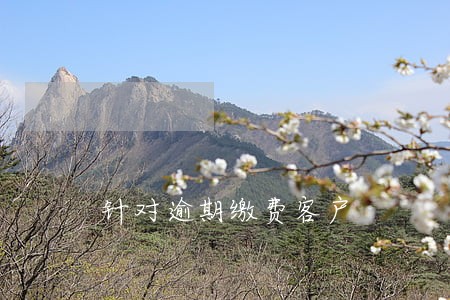 针对逾期缴费客户 针对逾期缴费客户