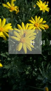 针对那些逾期很久的客户到底咋办 针对那些逾期很久的客户到底咋办