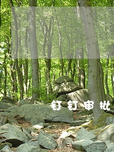 钉钉审批逾期提醒怎么去掉 钉钉审批逾期提醒怎么去掉