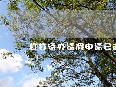 钉钉待办请假申请已逾期什么意思 钉钉待办请假申请已逾期什么意思