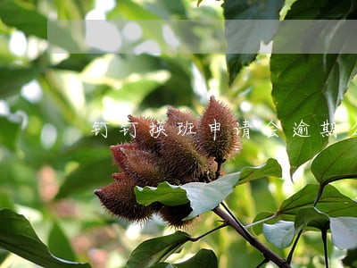 钉钉换班申请会逾期么 钉钉换班申请会逾期么