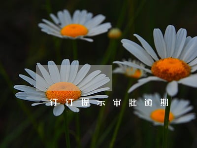钉钉提示审批逾期 钉钉提示审批逾期