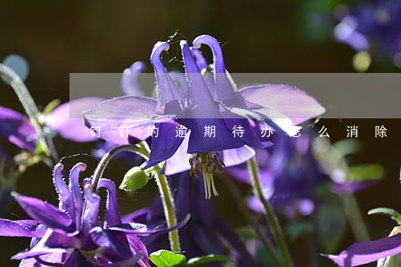 钉钉的逾期待办怎么消除 钉钉的逾期待办怎么消除