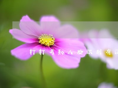 钉钉考勤人脸识别有没有办法规避 钉钉考勤人脸识别有没有办法规避
