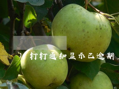 钉钉通知显示已逾期 钉钉通知显示已逾期