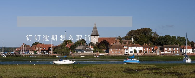 钉钉逾期怎么取消 钉钉逾期怎么取消