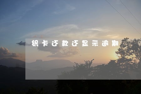 钒卡还款还显示逾期 钒卡还款还显示逾期