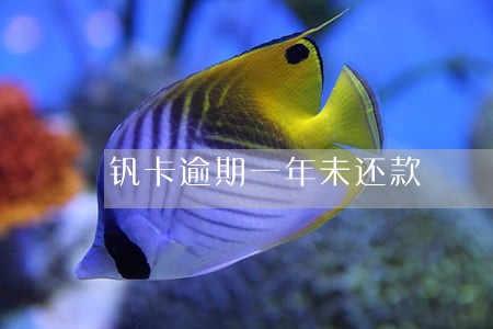 钒卡逾期一年未还款 钒卡逾期一年未还款