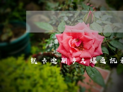 钒卡逾期多久爆通讯录