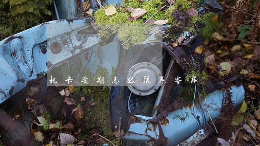 钒卡逾期怎么联系客服 钒卡逾期怎么联系客服