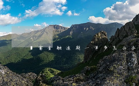 钜富金融逾期一年多怎么办 钜富金融逾期一年多怎么办