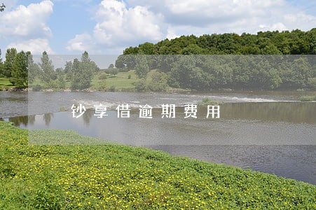 钞享借逾期费用 钞享借逾期费用