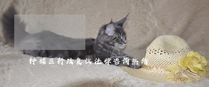 钟楼区行政复议法律咨询热线 钟楼区行政复议法律咨询热线