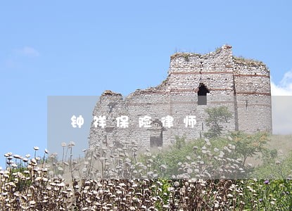 钟祥保险律师 钟祥保险律师