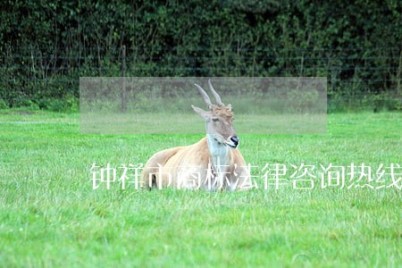 钟祥市商标法律咨询热线