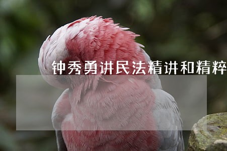 钟秀勇讲民法精讲和精粹 钟秀勇讲民法精讲和精粹