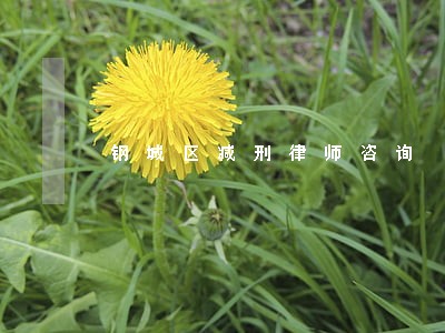 钢城区减刑律师咨询 钢城区减刑律师咨询