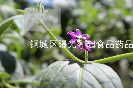 钢城区曝光4起食品药品违法案件 钢城区曝光4起食品药品违法案件