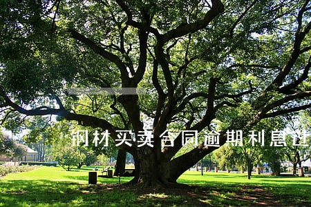 钢材买卖合同逾期利息过高 钢材买卖合同逾期利息过高