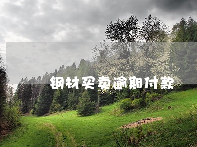 钢材买卖逾期付款 钢材买卖逾期付款