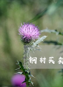 钢材买卖逾期付款的案例 钢材买卖逾期付款的案例