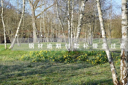 钢材逾期付款补偿金过高 钢材逾期付款补偿金过高