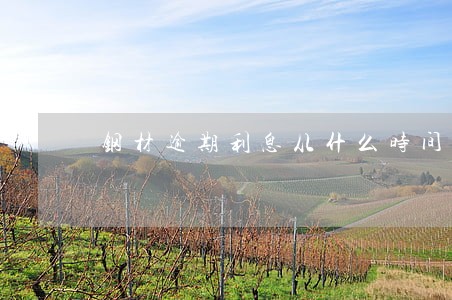 钢材逾期利息从什么时间开始算 钢材逾期利息从什么时间开始算