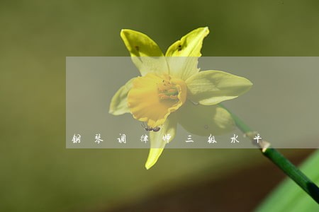 钢琴调律师三级水平 钢琴调律师三级水平