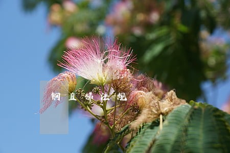 钢直梯法规 钢直梯法规