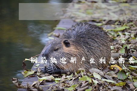 钢筋款逾期产生利息需要开发票吗 钢筋款逾期产生利息需要开发票吗
