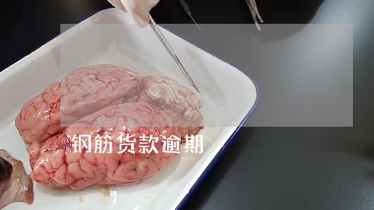 钢筋货款逾期 钢筋货款逾期