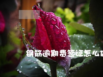 钢筋逾期费签证怎么做 钢筋逾期费签证怎么做