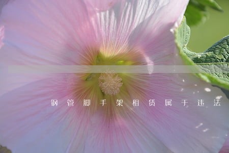 钢管脚手架租赁属于违法分包吗