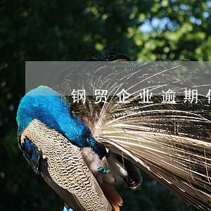 钢贸企业逾期付款利息 钢贸企业逾期付款利息