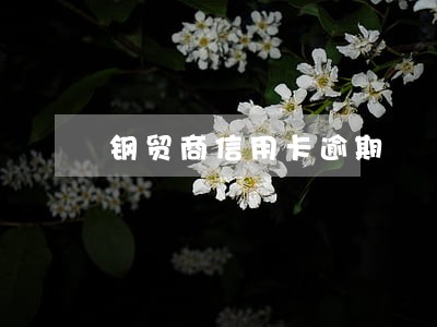 钢贸商信用卡逾期 钢贸商信用卡逾期