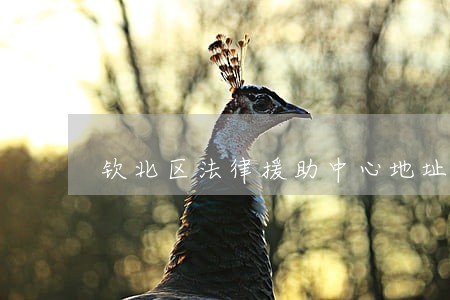 钦北区法律援助中心地址 钦北区法律援助中心地址